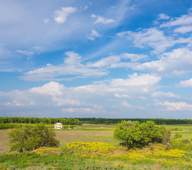 Campo sobre un fondo de cielo