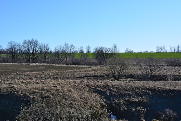 Un campo sucio con un cielo azul en el horizonte y un campo verde en el fondo