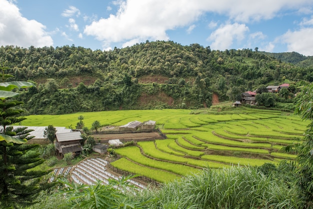 Campo terraced do arroz na montanha com nuvens e no céu azul em mae la noi, tailândia.