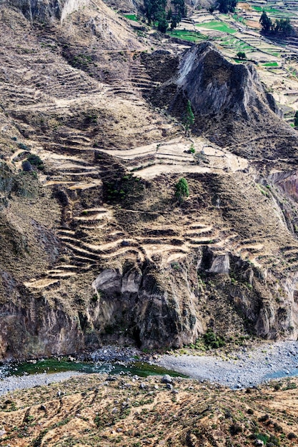 Campo en las terrazas en cañón