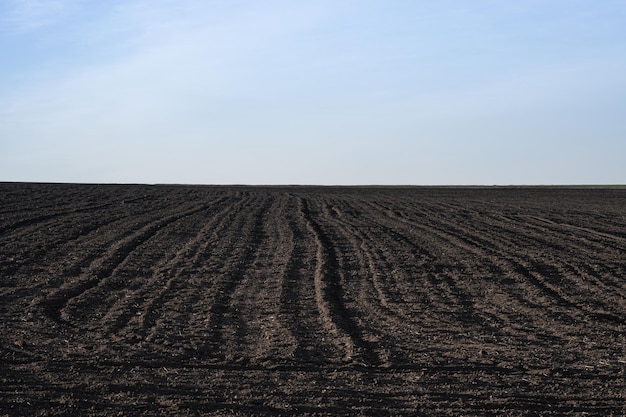 Un campo de tierra arada negra y la línea del horizonte.