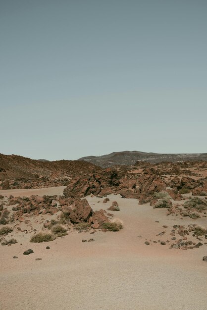 Foto un campo de tierra con rocas y plantas en él