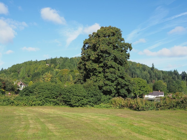 Campo en Tintern