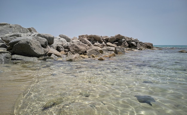 Campo típico del sur de Cerdeña Costa Rei, Muravera