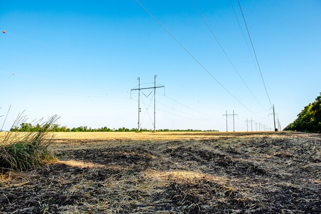 Campo de trigo arado Paja en los campos Paisaje rural con fondo de cielo azul