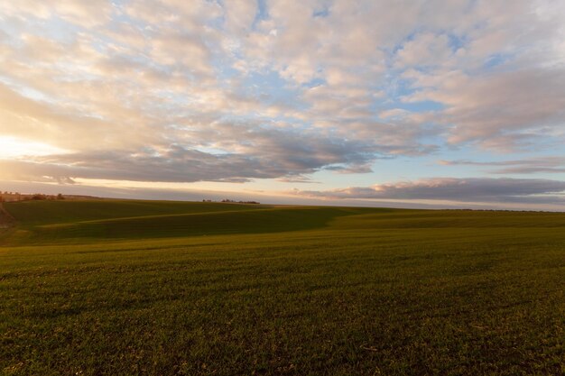 Campo de trigo con nubes de cielo azul Naturaleza Paisaje Paisaje rural en Ucrania Concepto de cosecha rica