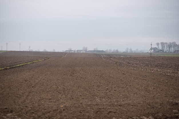 Campo de trigo durante el paisaje invernal