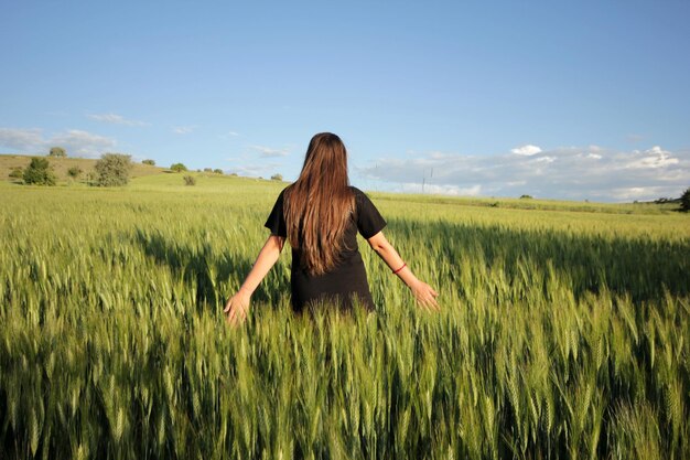 en el campo de trigo