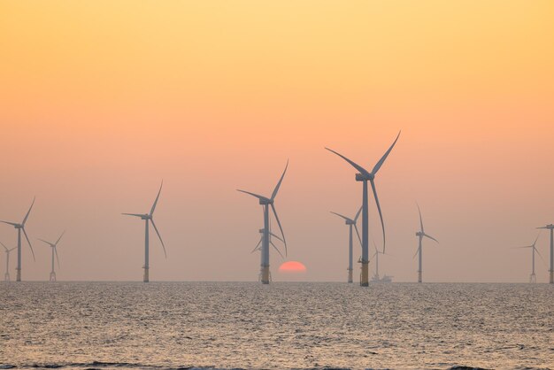 Campo de turbinas eólicas sobre el mar por la noche