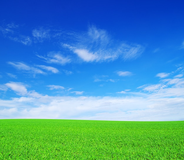 Campo valle y cielo azul