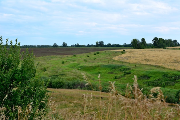 campo con valle verde, colinas onduladas y campo agrícola en un día nublado