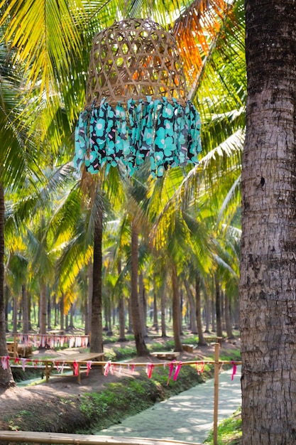 Campo de verano de palma de coco