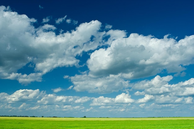 Campo de verano