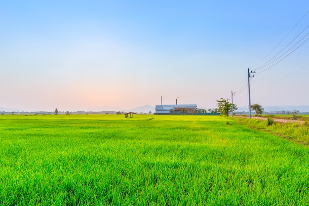 Campo verde de la agricultura con la planta de energía de la industria