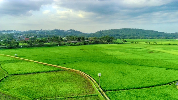 Un campo verde con un campo verde y montañas al fondo.