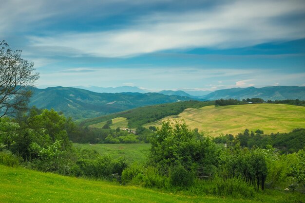 Foto un campo verde con una casa en el fondo