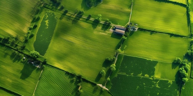 Un campo verde con una casa en el medio.