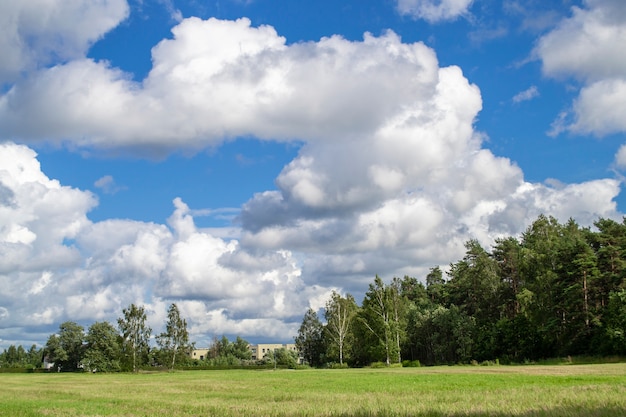 Campo verde, céu azul e floresta