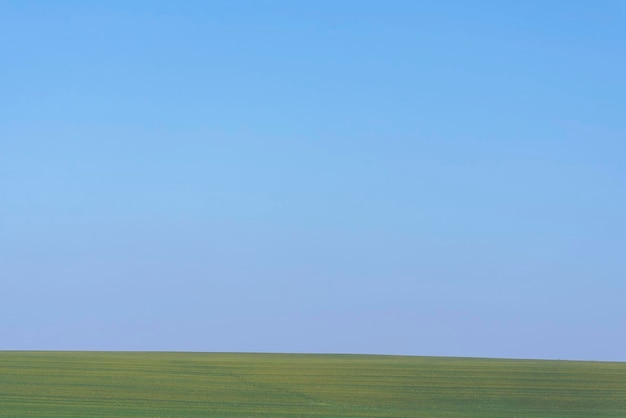 Campo verde con cielo azul como fondo