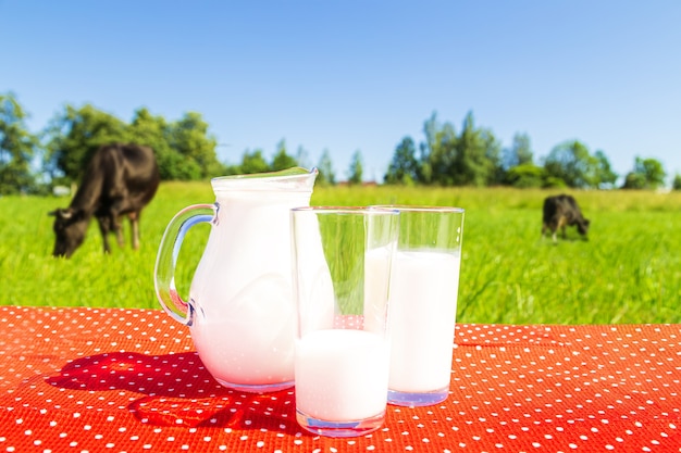 Campo verde y cielo azul. Dos vasos y una jarra de leche. Alimentación saludable.