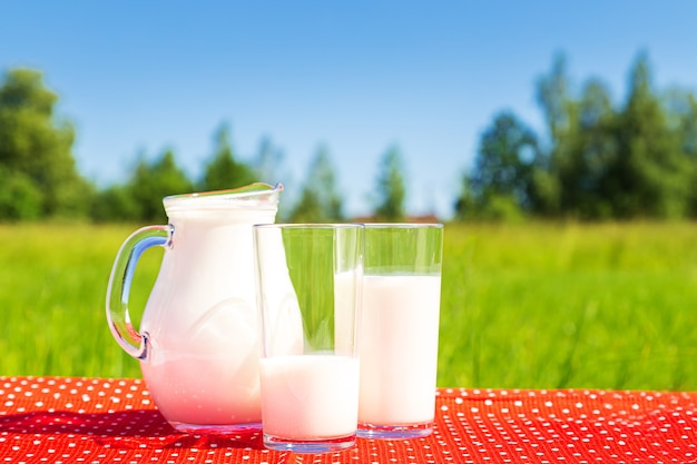 Campo verde y cielo azul. Dos vasos y una jarra de leche. Alimentación saludable.