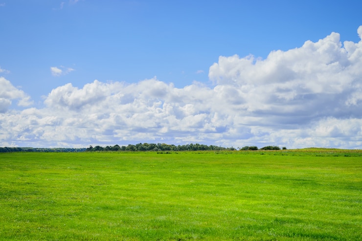Foto campo verde y cielo azul con fondo de nubes