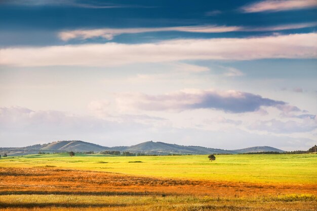 Campo verde y cielo azul. Hermoso paisaje de verano con naturaleza rural.