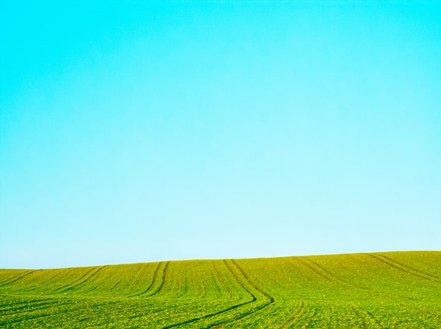 Foto campo verde y cielo azul hermoso prado como fondo de naturaleza y medio ambiente