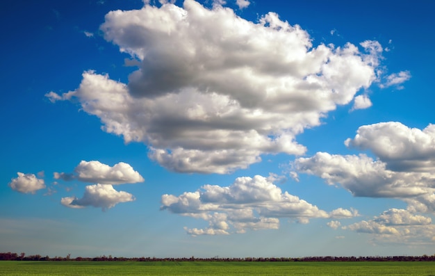 Campo verde y cielo azul con nubes blancas