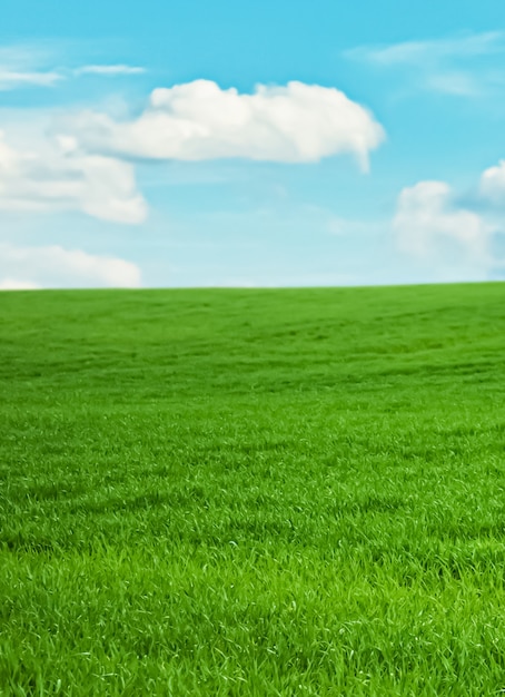 Campo verde y cielo azul con nubes hermosa pradera como fondo de naturaleza y medio ambiente