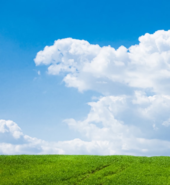 Campo verde y cielo azul con nubes hermosa pradera como fondo de naturaleza y medio ambiente