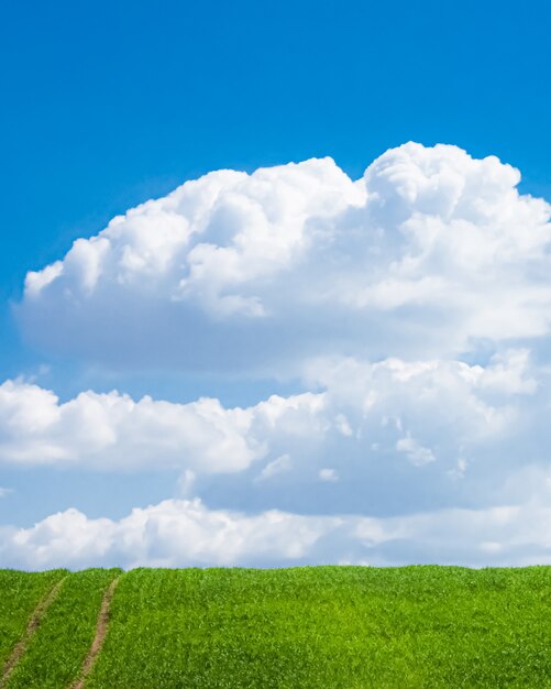 Campo verde y cielo azul con nubes hermosa pradera como fondo de naturaleza y medio ambiente