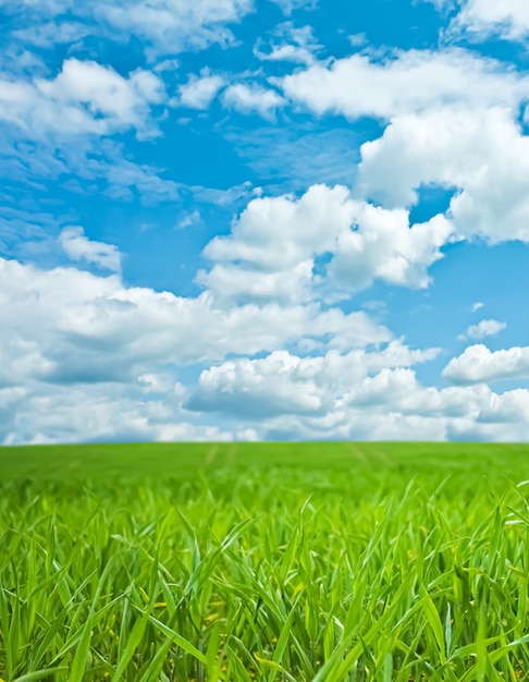 Campo verde y cielo azul con nubes hermosa pradera como fondo de naturaleza y medio ambiente