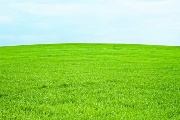 Campo verde y cielo azul con nubes hermosa pradera como fondo de naturaleza y medio ambiente