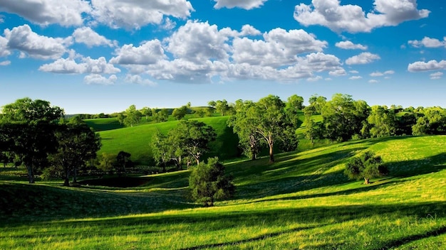 un campo verde con un cielo azul y nubes