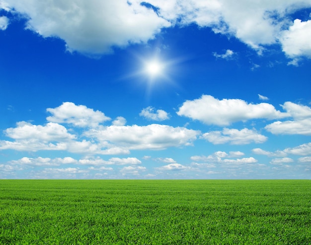 Campo verde cielo azul y sol