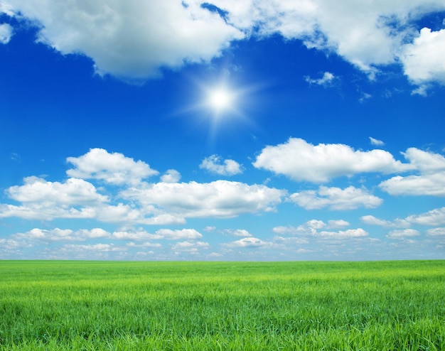 Foto campo verde cielo azul y sol