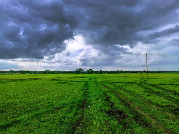 Un campo verde con un cielo nublado y un cartel que dice 'verde'