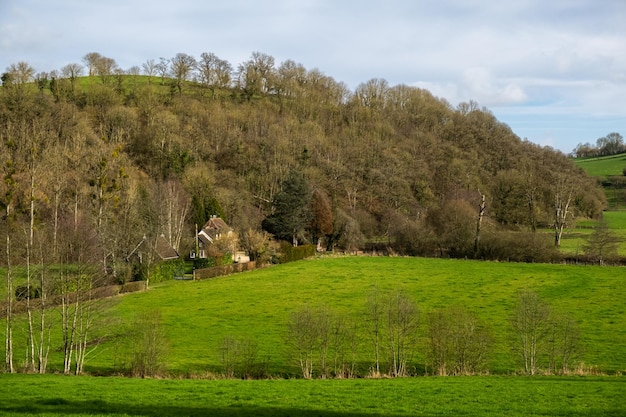 Campo verde y colina alta con árboles Naturaleza del campo en Francia