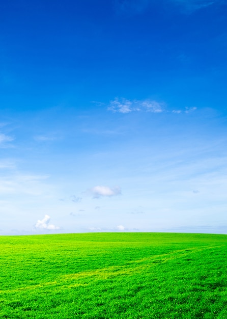 Campo verde com céu azul