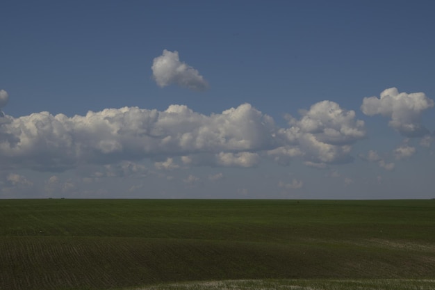 Campo verde con cultivos de invierno bajo un cielo nublado región de Ulyanovsk Rusia