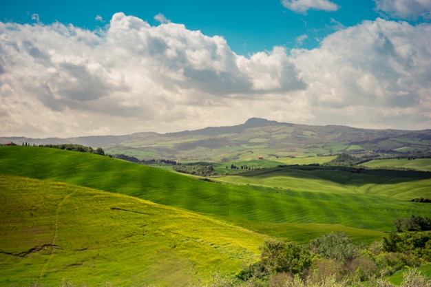 Foto campo verde da primavera céu azul nublado paisagem idílica