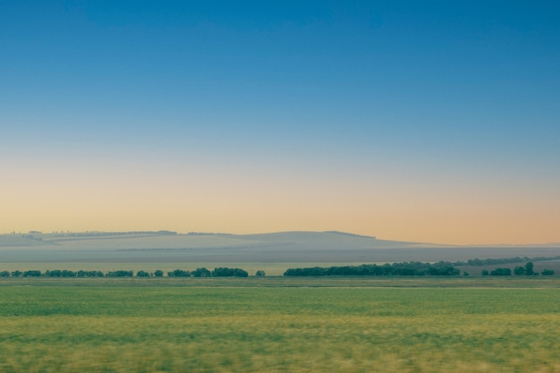 Campo verde con desenfoque de línea de bosque en movimiento, con el telón de fondo de la puesta de sol