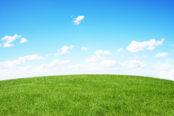 Foto campo verde e céu azul
