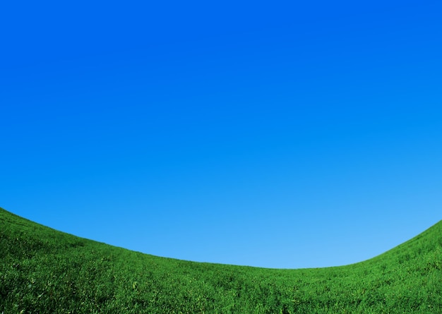 Campo verde e céu azul