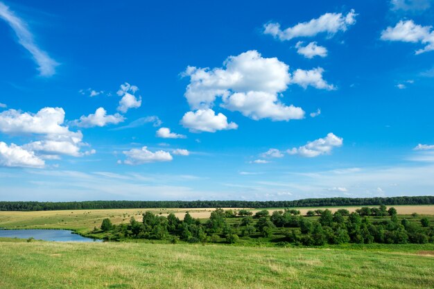 Campo verde e céu azul