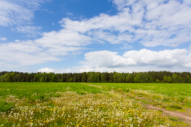 Campo verde e céu azul