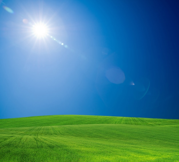 Campo verde e céu ensolarado