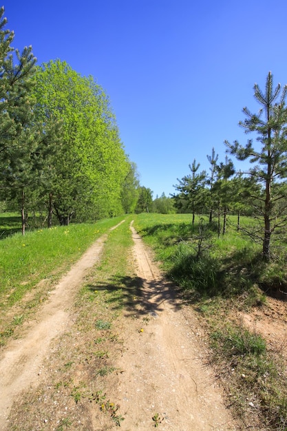 Campo verde e céu Paisagem de verão na zona rural