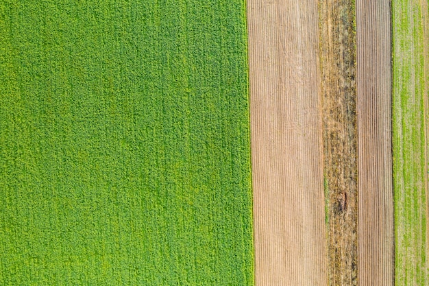 Campo verde e marrom criando estrutura de fundo da vista aérea